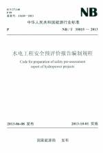水電工程安全預(yù)評(píng)價(jià)報(bào)告編制規(guī)程 NB/T 