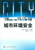 城市環(huán)境安全