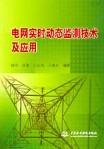 電網實時動態監測技術及應用