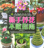新手養花不敗指南