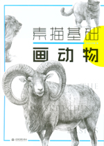 素描基礎  畫動物