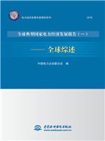 電力經濟發展年度報告系列·全球典型國